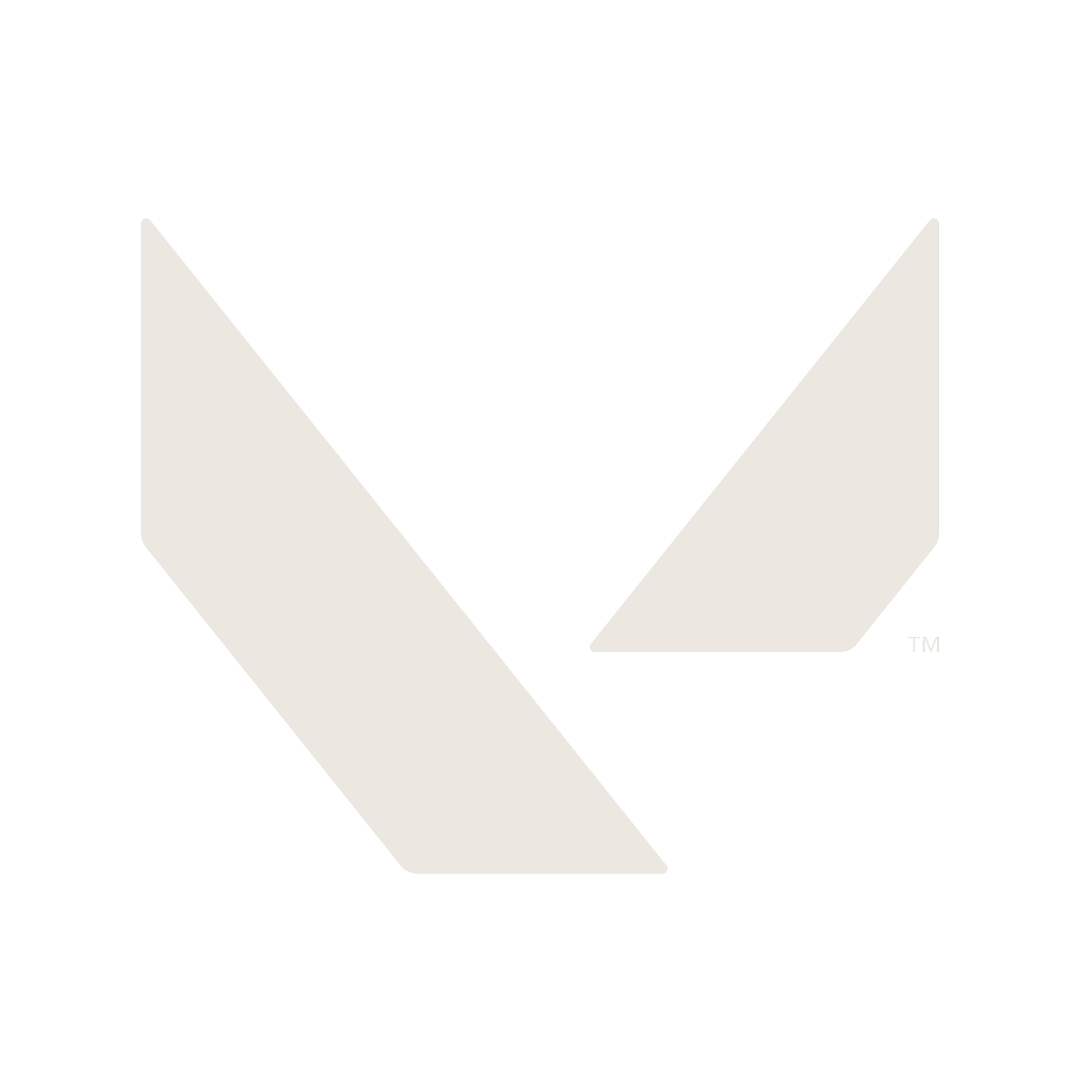 Valorant icon